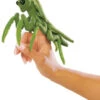 Folkmanis Fingerpuppe Mini Gottesanbeterin / Mini Praying Mantis -TONIES Verkäufe 2610 600x600