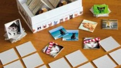 Remember 44 Cats In Der Magnetbox