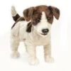 Folkmanis Handpuppe Jack Russell Terrier / Jack Russell Terrier -TONIES Verkäufe 76 2848 600x600