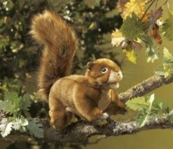 Folkmanis Handpuppe Eichhörnchen / Red Squirrel -TONIES Verkäufe 76 2880 b 600x600