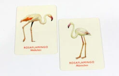 Laurence King Verlag Vogelpaare Das Memo-Spiel -TONIES Verkäufe 9783962440084 4 600x600