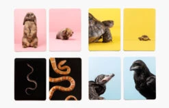 Klein Und Groß Tierbaby -Memo -TONIES Verkäufe 9783962442477 c 600x600