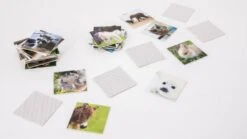 Remember 44 Tierbabies In Der Magnetbox -TONIES Verkäufe MEM04 b 600x600