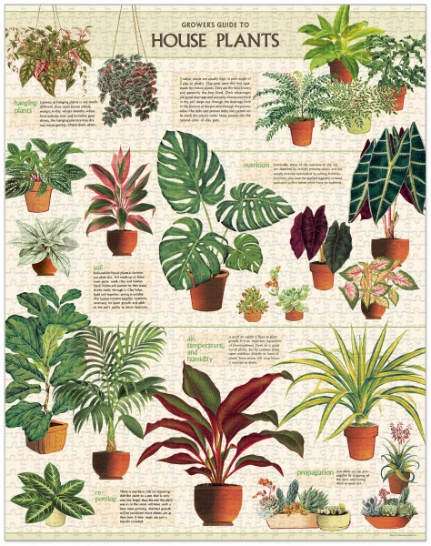 Cavallini & Co. Vintage Puzzle House Plants 1000 Teile 2 Cavallini & Co. Vintage Puzzle House Plants 1000 Teile – Bild 2