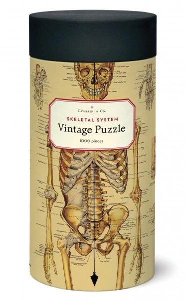 Cavallini & Co. Vintage Puzzle Skeletal System 1000 Teile 1 Cavallini & Co. Vintage Puzzle Skeletal System 1000 Teile