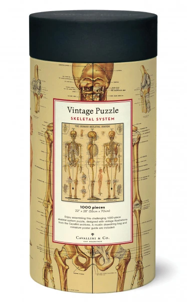 Cavallini & Co. Vintage Puzzle Skeletal System 1000 Teile 2 Cavallini & Co. Vintage Puzzle Skeletal System 1000 Teile – Bild 2