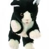 Living Puppets Handpuppe S/w. Katze -TONIES Verkäufe W045 Katze s w 600x600